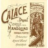 DOGAL CALACE RW92A TESIONE FORTE CORDE PER MANDOLINO