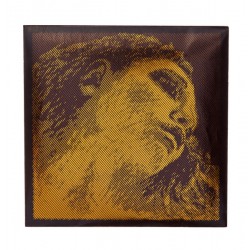 PIRASTRO EVAH PIRAZZI GOLD MUTA  PER VIOLINO 4/4 SOL ARGENTO
