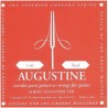 AUGUSTINE ROSSA CORDA MI