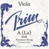 PRIM LA CORDA(11) X VIOLA MEDIUM