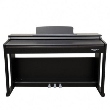 ECHORD DPX100B PIANOFORTE DIGITALE 88 TASTI PESATI NERO SATINATO
