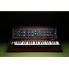 MINIMOOG MODEL D 2022 EDITION