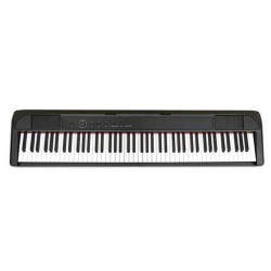 ECHORD DP1 PIANOFORTE DIGITALE 88 TASTI PESATI NERO
