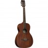 EKO DUO P200e PARLOR AMPLIFICATA MOGANO