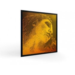 PIRASTRO SOL ORO EVAH PIRAZZI GOLD  X VIOLINO