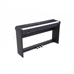 ECHORD DP1 CON STAND E PADALIERA PIANOFORTE DIGITALE 88 TASTI
