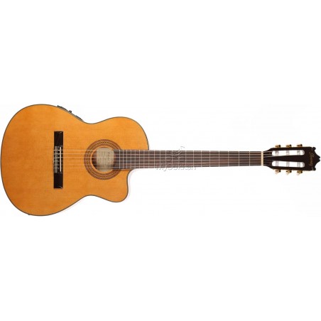 IBANEZ GA5TECE AM CHITARRA CLASSICA AMPLIFICATA CUTAWAY