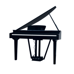 ECHORD GP-10B PIANO...