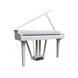 ECHORD GP-10B PIANO...