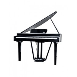 ECHORD GP-10B PIANO DIGITALE A CODA NERO